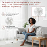 Couronne 18 Inch 2-in-1 Fan | 180° Oscillation & Energy Efficient (50-100W) 🌬️