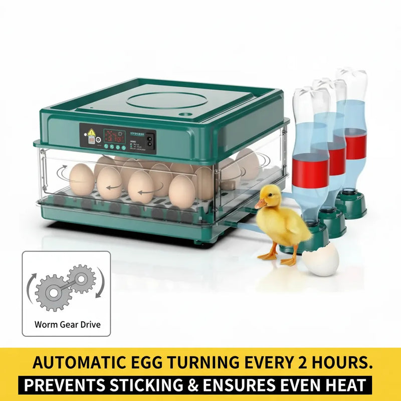 48 Egg Fully Automatic Incubator – Smart Digital Egg Hatcher with Auto Turning, Temperature Control & Dual Power (220V/12V)