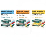 48 Egg Fully Automatic Incubator – Smart Digital Egg Hatcher with Auto Turning, Temperature Control & Dual Power (220V/12V)