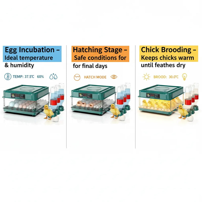 48 Egg Fully Automatic Incubator – Smart Digital Egg Hatcher with Auto Turning, Temperature Control & Dual Power (220V/12V)