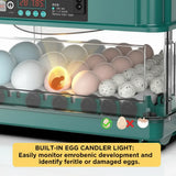 48 Egg Fully Automatic Incubator – Smart Digital Egg Hatcher with Auto Turning, Temperature Control & Dual Power (220V/12V)