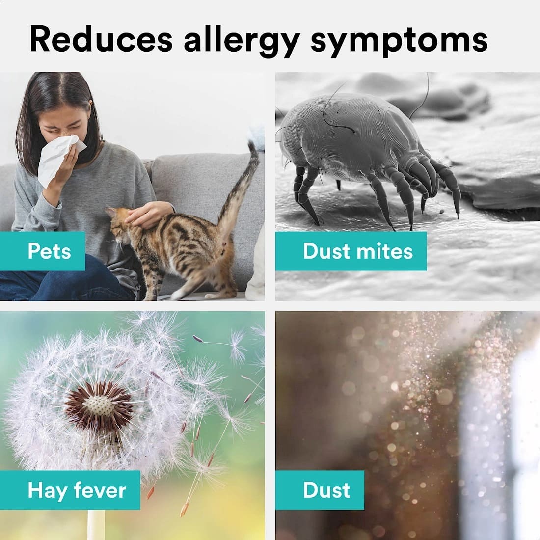 🌿 Breathe Pure, Live Healthier — Smart Air Purification with HEPA Filtration, UV-C Technology & Silent Operation for Cleaner Air and Comfortable Living