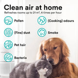 🌿 Breathe Pure, Live Healthier — Smart Air Purification with HEPA Filtration, UV-C Technology & Silent Operation for Cleaner Air and Comfortable Living