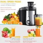 Electric Juicer for Fruits & Veggies – 800W, Stainless Steel – Double Speed