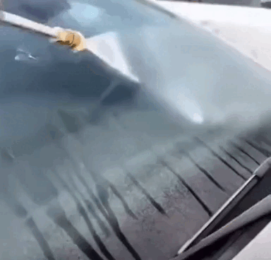 Evimki Car Washing Gun