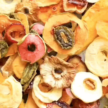 Evimki food dehydrator